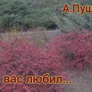 Я Еë Любил И Боготворил Евгений Росс