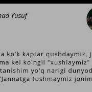 Baribir Jannatga Tushmaymiz Jonim