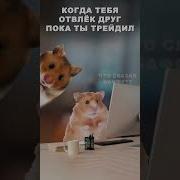 Я Пенсию Твоей Бабушки Инвестировал Иван Золо