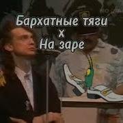 Барахатные Тяги На Заре