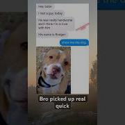 Puppy Girl Meme