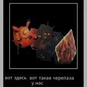 А Вы Знали Что По Карте В Доте Бегают Маленькие Зверушки