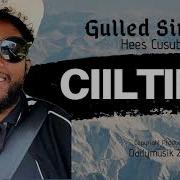 Guuleed Simba Hees Cusub Ciiltira Lyrics 2020