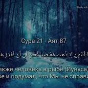 Ислам Субхи Анбия