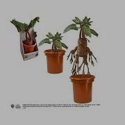 Don T Starve Mandrake Plush