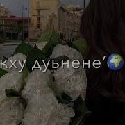 Со Муха Яхна Хилла Те Песня