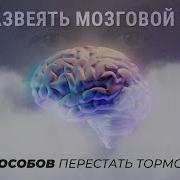 Матрица Пробуждение Разума Развеять Мозговой Туман