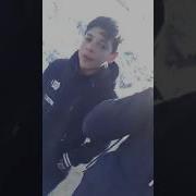 Перепел Половина Моя