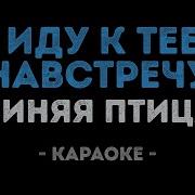 Синяя Птица Караоке