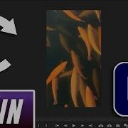 How To Rotate Video In Adobe Premiere Pro