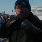 Карасай Горд Жетсай