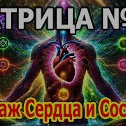 Матрица Гаряева Сердечная Чакра