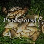 Рыбалка Электронная Приманка Для Рыбы Predator Af