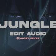 My Head Is A Jungle Edit Audio