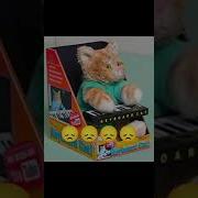 Кот Играет На Пианино