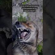 Для Этой Категории Уголовнико