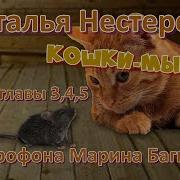 Нестерова Наталия