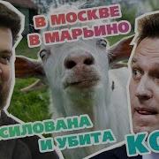Мужик Признался Что Трахал Козу