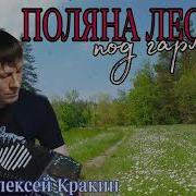 Алексей Кракин Поляна Лесная