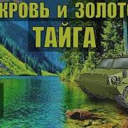 Каляныч Золотое Дно Тайга