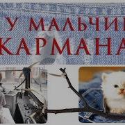 Что У Мальчиков В Карманах