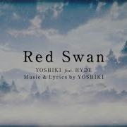 Red Swan Opening