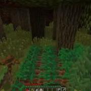 Спалил Как Вова Выращивает Коноплю Minecraft
