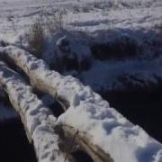 Аня Костина Фиаско Братан
