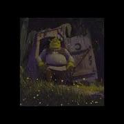 Shrek Somebody Slowed