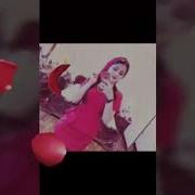 Новая Цыганская Полька Вася Займно