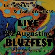 Little Mike Never Get Out Of These Blues Alive Live