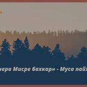 Пайхамарийн Дийцарш Муса Пайхамар 3