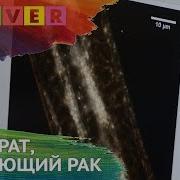 Аят Который Убивает Раковые Клетки