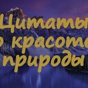 Цитата Про Красоту Природы