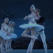 Swan Lake Tchaikovsky Ballet