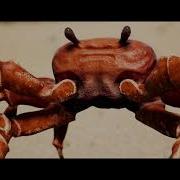 Foster The Noisestorm Pumped Up Crab Rave Pumped Up Kicks And Crab Rave Mashup