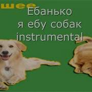 Я Люблю Собак Instrumental