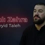 Seyid Taleh Boradigahi