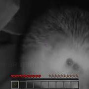 Hedgehog Sneezing But It S Minecraft