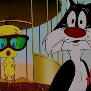 Piu Piu E Frajola Piu Piu E Frajola Piu Piu E Frajola