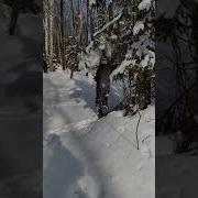 Я Буду Хулиганить В Садике