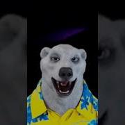 Хахахахаха Шлюха Штопанная Ебать