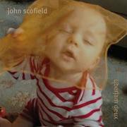 John Scofield Endless Summer