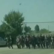 Дай Знать Где Ты Находишься Чеченец Прикол
