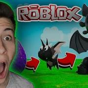 Симулятор Дракона Dragon Simulator Roblox