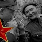 На Южном Фронте Развезло Дороги