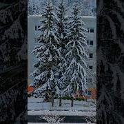 А Помнишь На Снегу