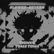 Tome Toma Slowed