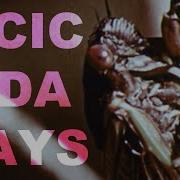 Cicada Days