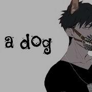 Am A Dog